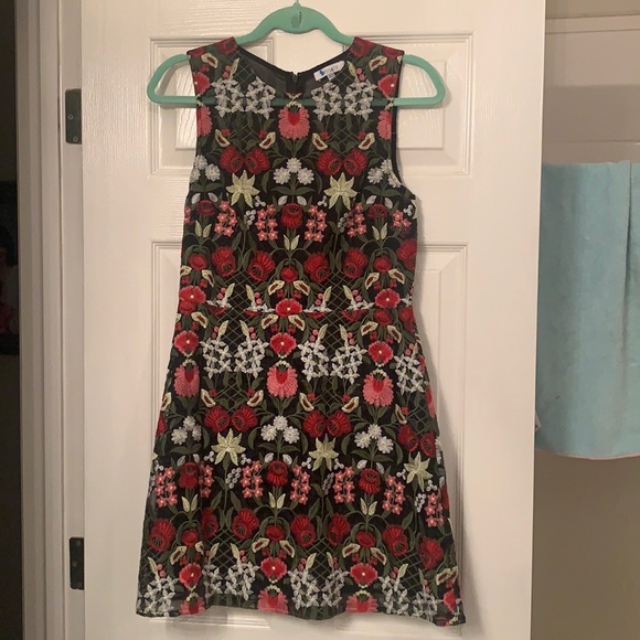 Lucy Paris Dresses & Skirts - Lucy Paris embroidered dress Medium